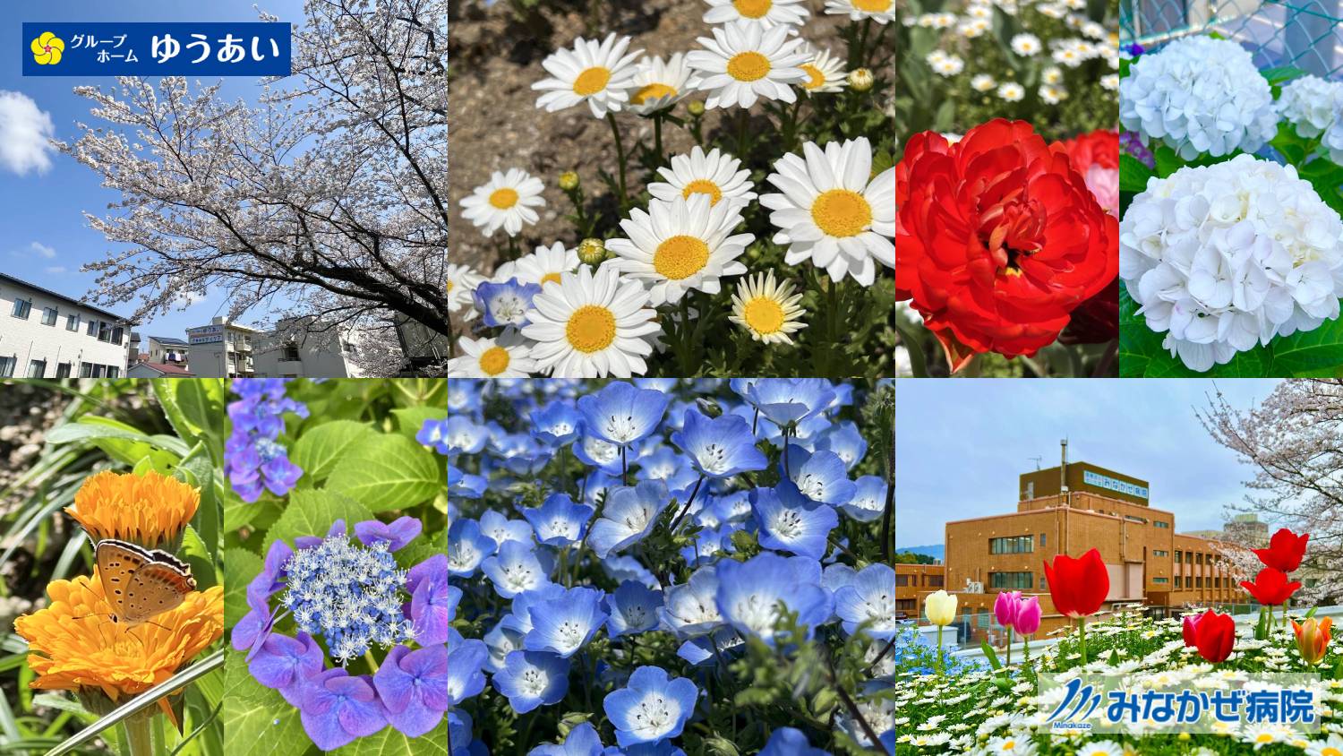 医療法人せいわ会 グループホームゆうあい　季節の花々が迎えてくれます